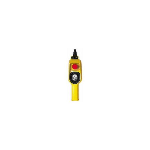 BOITE PENDANTE 2 BOUTONS - Schneider Electric - XACD24P3111