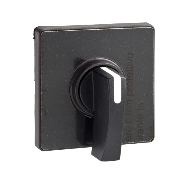 Schneider Electric Tête de Manoeuvre 60 X 60 Mm Noir Crosse Noire Marquage à Graver - Schneider Electric - KAD1H