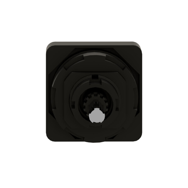 Schneider Electric Tête de Manoeuvre 45 X 45 Mm Métallisé Crosse Noire Marquage à Graver - Schneider Electric - KBC1H