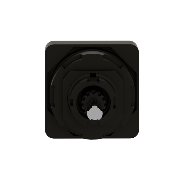Schneider Electric Tête de Manoeuvre 45 X 45 Mm Métallisé Crosse Noire Marquage à Graver - Schneider Electric - KBC1H