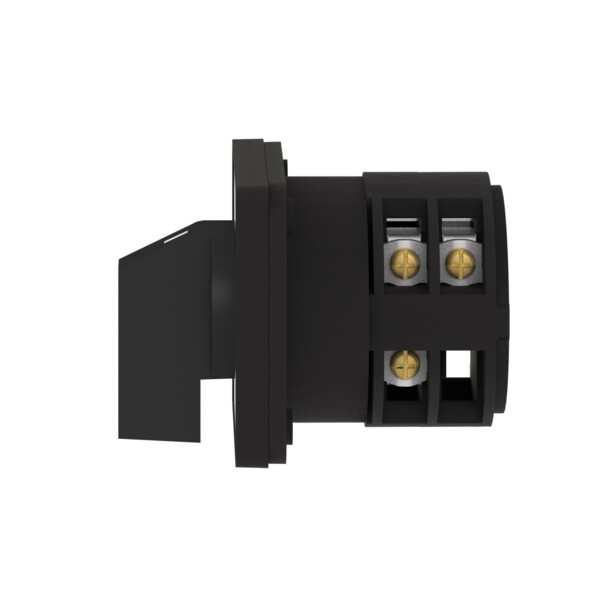Schneider Electric Inverseur à Came 3 Pôles 60° 32 A Fixation Par Vis - Schneider Electric - K30F003UP