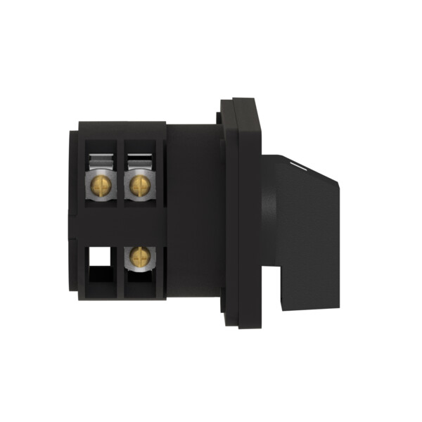 Schneider Electric Inverseur à Came 3 Pôles 60° 32 A Fixation Par Vis - Schneider Electric - K30F003UP