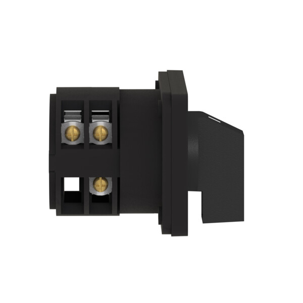 Schneider Electric Inverseur à Came 4 Pôles 60° 32 A Fixation Par Vis - Schneider Electric - K30H004UP