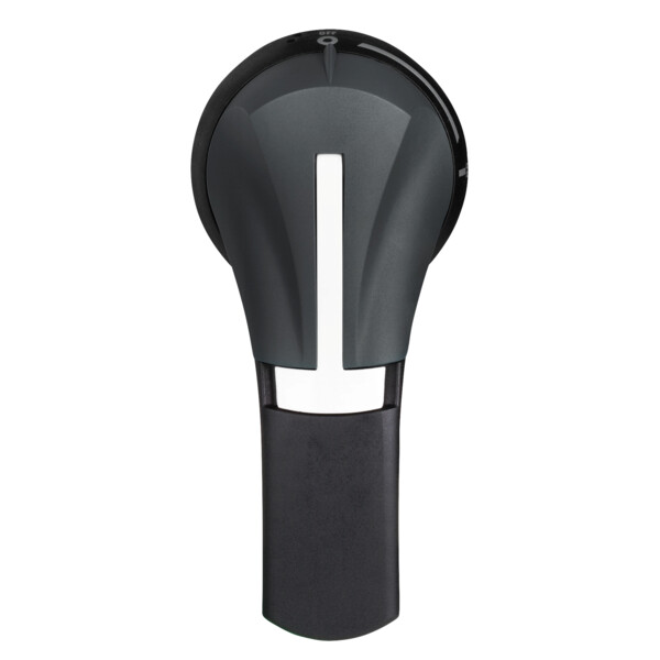 Schneider Electric Poignée externe Lat Droite 100..400A Ip55 Noire - Schneider Electric - GS2AH235