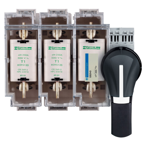 Schneider Electric Poignée externe Front 100..400A Ip65 Noire - Schneider Electric - GS2AH530