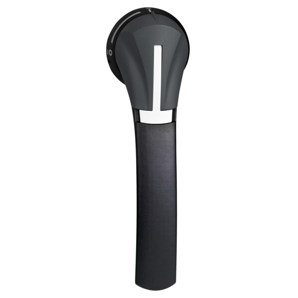 Schneider Electric Poignée externe Front 630-800A Ip65 Noire - Schneider Electric - GS2AH550