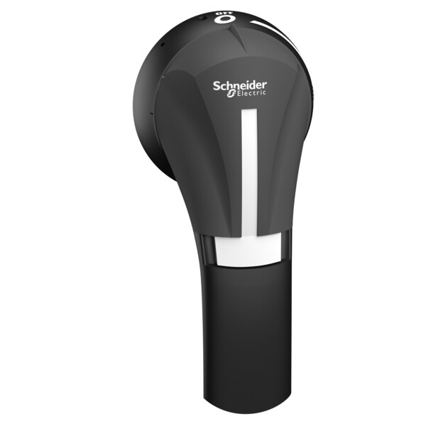 Schneider Electric Poignée externe Front 100..400A Ip65 Noire - Schneider Electric - GS2AHT530