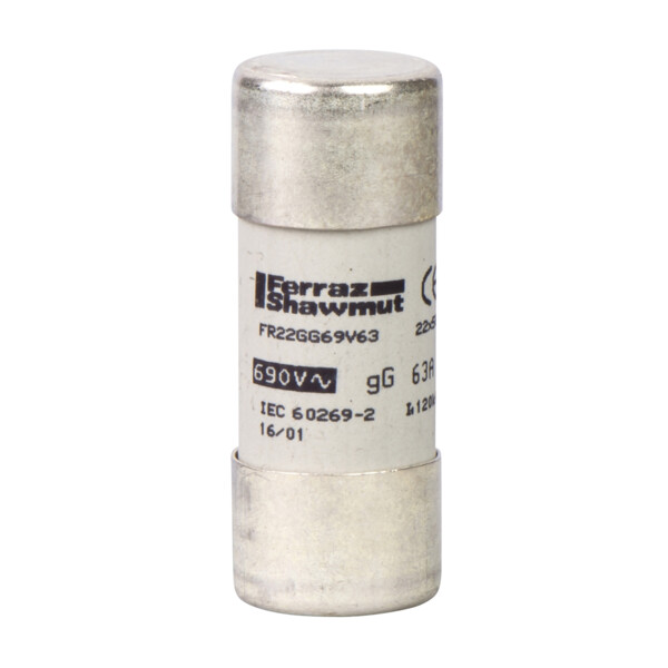 Schneider Electric Cartouche Fusible Nfc Cylindrique 22 X 58 Mm Gg 40 A Sans Voyant - Schneider Electric - DF2FN40
