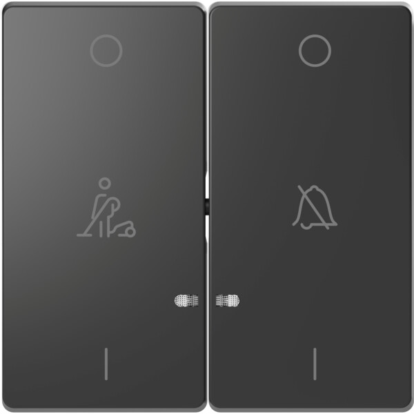 D-life - enjoliveur pour commande double voyant et picto hotel - anthracite - Schneider Electric - MTN3429-6034