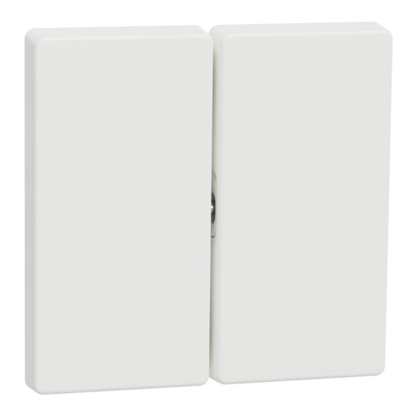 D-life - enjoliveur pour commande double sans marquage - blanc nordic mat - Schneider Electric - MTN3400-6037