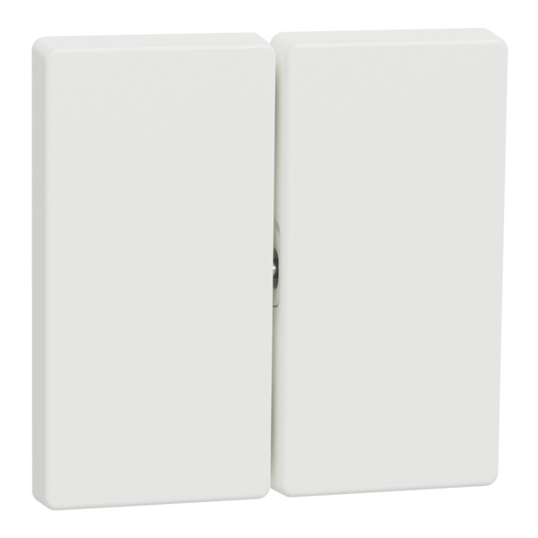 D-life - enjoliveur pour commande double sans marquage - blanc nordic mat - Schneider Electric - MTN3400-6037