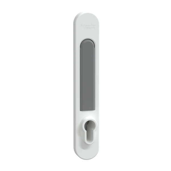 Prismaset g active - poignée euro prismaset - ip30 & pack 250 - blanc ral9003 - Schneider Electric - LVS07932