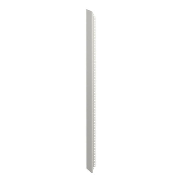 Prismaset g active - panneau latéral - armoire 30m - ip30 - ral9003 - Schneider Electric - LVS01034