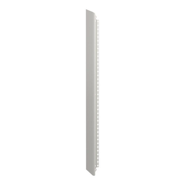 Prismaset g active - panneau latéral - coffret 21m - ip30 - ral9003 - Schneider Electric - LVS01045