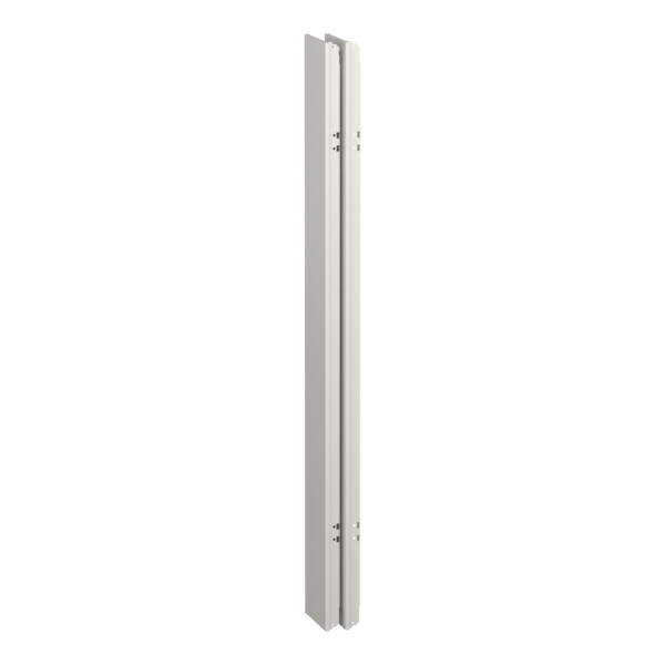 Prismaset g active - panneau latéral coffret ip55 - 33m - lot(x2) - ral9003 - Schneider Electric - LVS08359