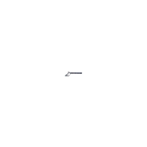 Schneider Bandeau De Prises - Simple - 1U - 16A - 208 / 230 V - (12)C13 - Schneider Electric - AP9565