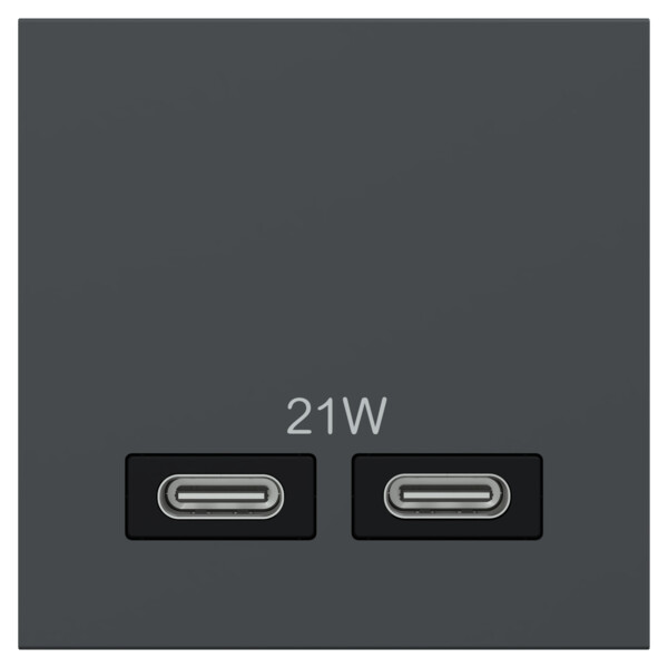 Unica - chargeur USB double type C+C - 21W Power Delivery - 2 mod - anthracite - Schneider Electric - NU301254