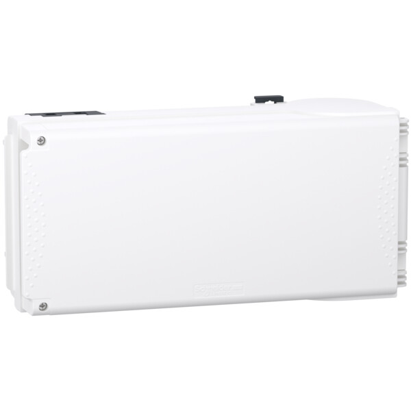 Schneider Electric Coffret Sectionneur 50 A pour Fusibles Nf - Schneider Electric - KNB50SF4