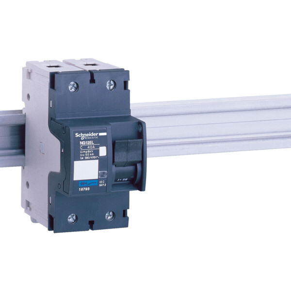 Schneider Electric Disjoncteur Modulaire Multi 9 Ng125L 2 Pôles 20 A Courbe C - Schneider Electric - 18790