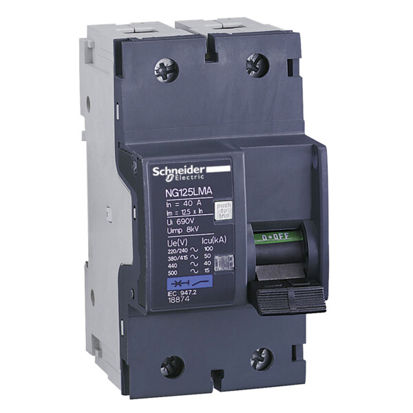 Schneider Electric Disjoncteur Moteur Ng125Lma 80 A 2P 2D Déclencheur Magnétique - Schneider Electric - 18876