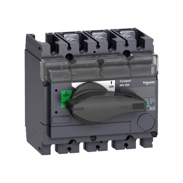 Schneider Electric Interrupteur sectionneur à Coupure Visible Interpact Inv100 3P 100 A - Schneider Electric - 31160
