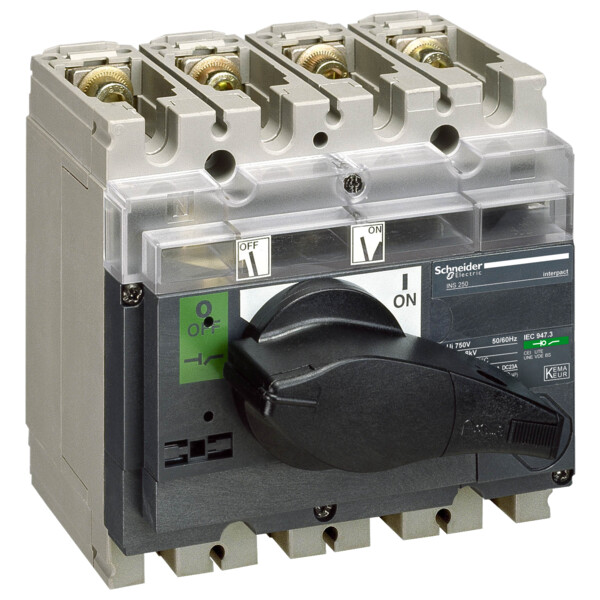 Schneider Electric Interrupteur sectionneur à Coupure Visible Interpact Inv100 4P 100 A - Schneider Electric - 31161