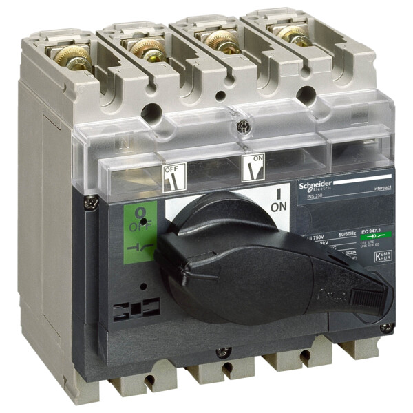Schneider Electric Interrupteur sectionneur à Coupure Visible Interpact Inv250 4P 250 A - Schneider Electric - 31167