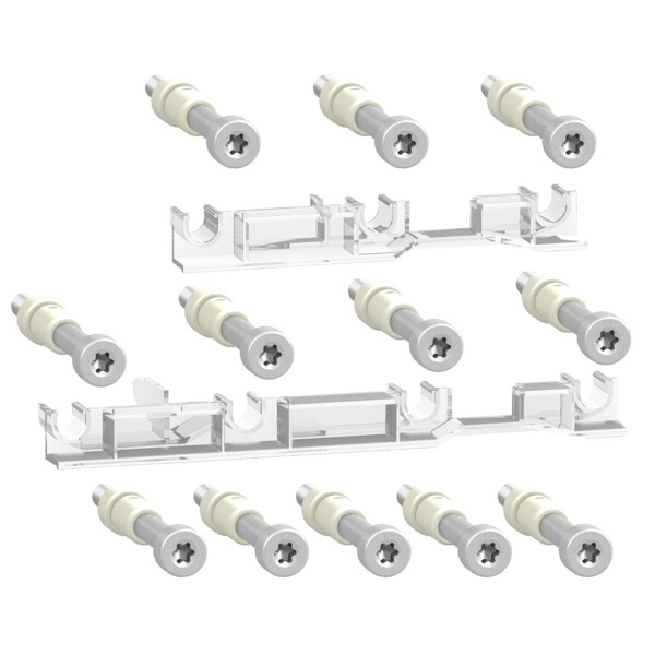 VIS A LIMITATION DE COUPLE (LOT DE 12)  ACCESSOIRES COMPACT NSX100-250 3P/4P - Schneider Electric - LV429513