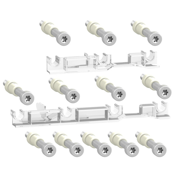 VIS A LIMITATION DE COUPLE (LOT DE 12)  ACCESSOIRES COMPACT NSX100-250 3P/4P - Schneider Electric - LV429513