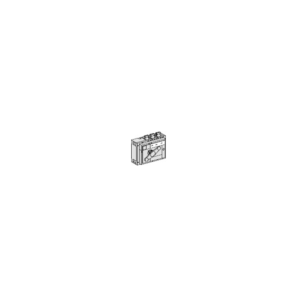Schneider Electric Interrupteur sectionneur à Coupure Visible Interpact Inv1000 4P 1000 A - Schneider Electric - 31361