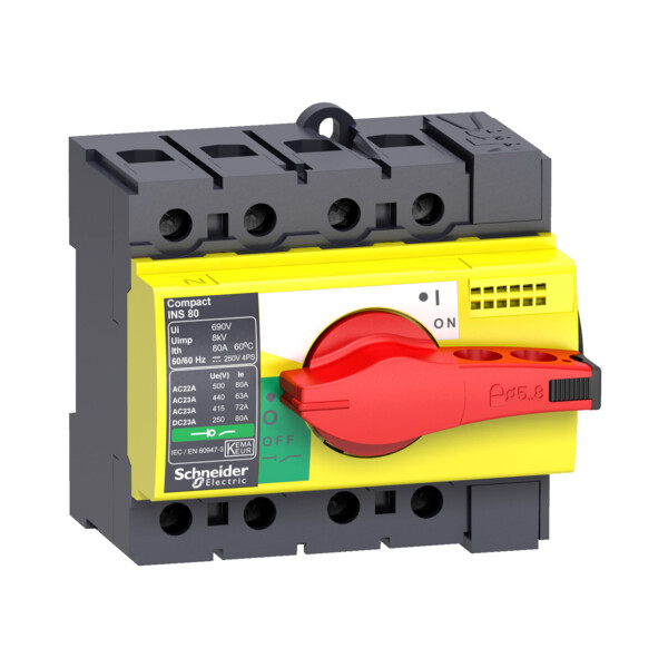 Schneider Electric Interrupteur sectionneur Interpact Ins63 4P 63 A - Schneider Electric - 28919