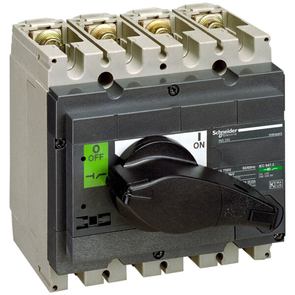 Schneider Electric Interrupteur sectionneur Interpact Ins250 4P 250 A - Schneider Electric - 31107