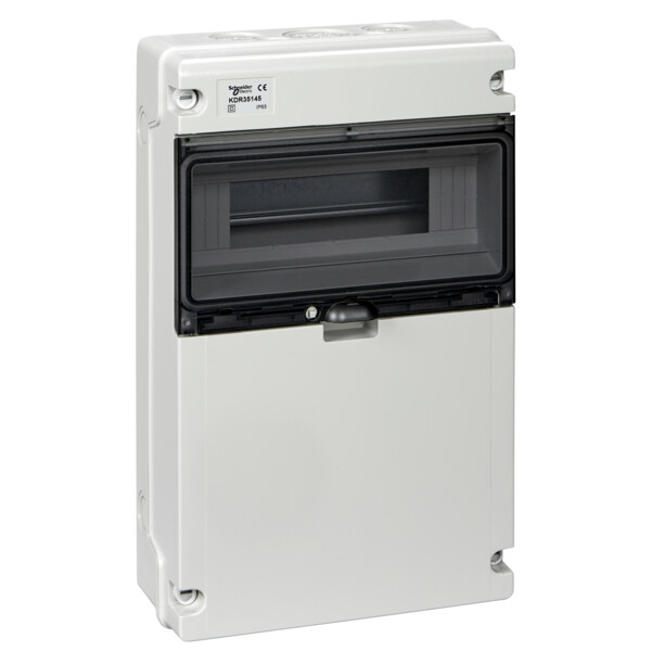 Kaedra XT coffret étanche pour prises face lisse 1rangée 12 modules 400×248 IP65 - Schneider Electric - KDR35145