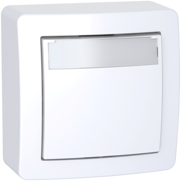 Alréa, poussoire avec porte étiquette avec cadre saillie, blanc polaire - Schneider Electric - ALB62062P