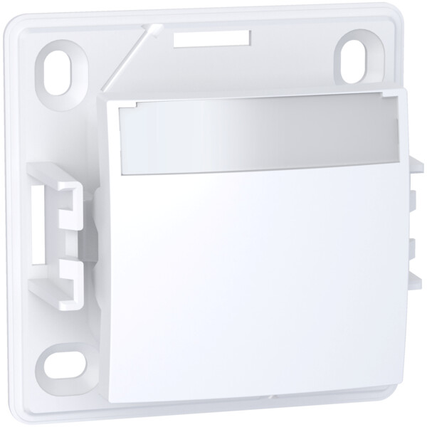 Alréa, Poussoir a fermeture porte-etiquette sans lampe, blanc polaire - Schneider Electric - ALB61062P