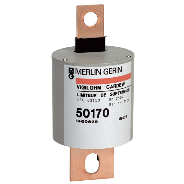 Vigilohm, Auxiliaire Cartouche Cardew type 660 V C - Schneider Electric - 50172