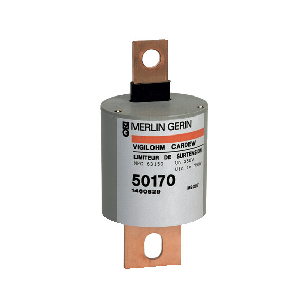 Vigilohm, Auxiliaire Cartouche Cardew type 660 V C - Schneider Electric - 50172