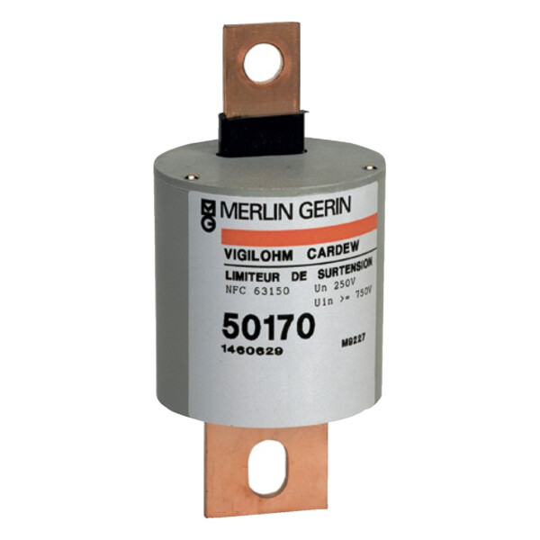 Vigilohm, Auxiliaire Cartouche Cardew type 660 V C - Schneider Electric - 50172