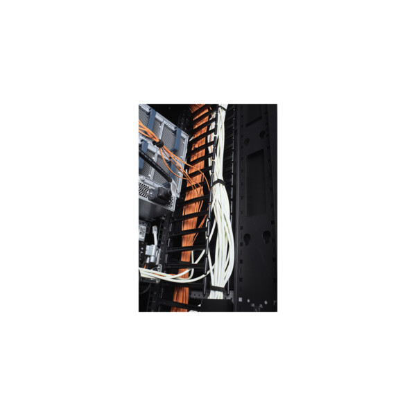 Apc - gestionnaire de câbles vertical pour netshelter sx - larg750mm 42u - qté 2 - Schneider Electric - AR7580A