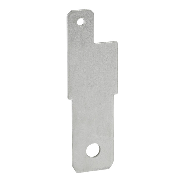 10 PRISE DE TENSION POUR BORNES  ACCESSOIRE DISJONCTEUR NSX100 250 INV INS - Schneider Electric - LV429348