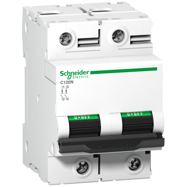 Disjoncteur C120N 2P 80 A, courbe C, 10 kA - Schneider Electric - A9N18361