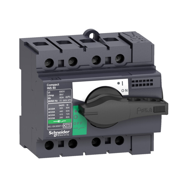 Schneider Electric Interrupteur sectionneur Interpact Ins63 4P 63 A - Schneider Electric - 28903
