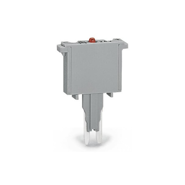 Fiche fusible 2,5 mm² /2 a ff - Wago - 280856/281415
