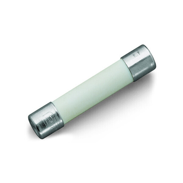 Cartouche, type g 10a/250 v - Wago - 282457