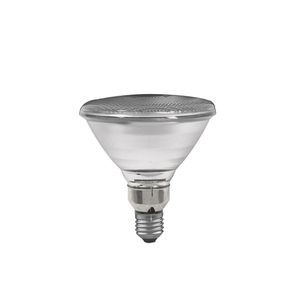 Lampe PAR 38 Paulmann Flood 120W E27