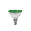 Lampe PAR 38 Paulmann Flood Vert 80W E27