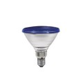 Lampe PAR 38 Paulmann Flood Bleu 80W E27