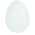 Luminaire Oeuf LED Paulmann 90x70mm