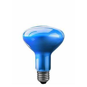 Lampe pousse-plante Paulmann SUPPR95 100W E27 - Paulmann - 50000