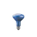 Lampe pousse-plante Paulmann R95 75W E27